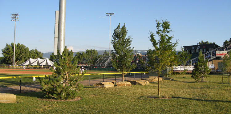 Trees, rocks and wide open vistas are part of the Lansing Field charm