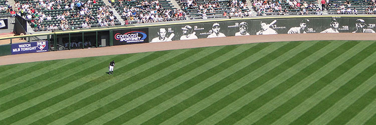 Outfield grass at U.S. Cellular Field