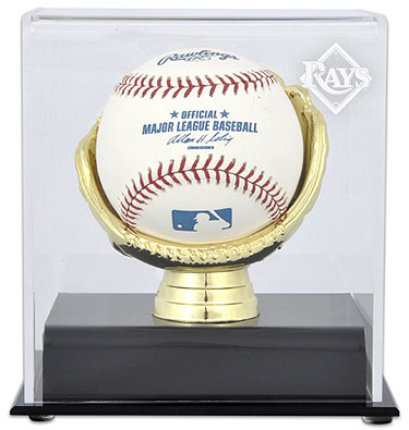 Rays single baseball Gold Glove display case