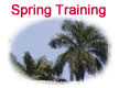 Spring Training in Florida