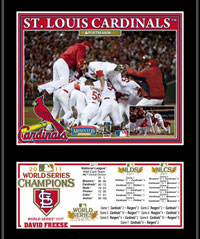 2011 St. Louis Cardinals World Series Champions plaque