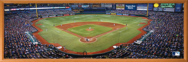Tropicana Field puzzle in frame