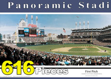 Jacobs Field puzzle
