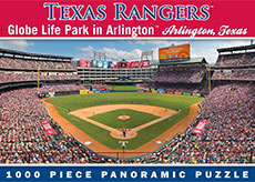 Rangers Ballpark in Arlington puzzle
