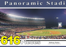 Shea Stadium puzzle