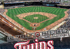 Target Field with Twins logo puzzle