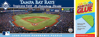 Tropicana Field puzzle, glue and frame piece
