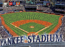 Yankee Stadium with Yankees logo puzzle