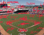 Cincinnati Reds Signature Field