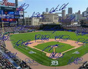 Detroit Tigers Signature Field