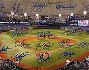 Tampa Bay Rays Signature Field