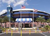 Tradition Field guide