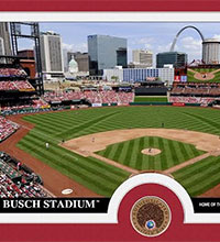Busch Stadium infield dirt photomint