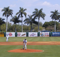 2009 Spring Training Guides