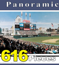 Indians ballpark puzzle