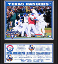 Texas Rangers 2010 AL champions plaque