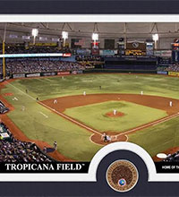 Tropicana Field infield dirt photomint