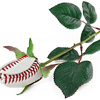 Horizontal baseball rose
