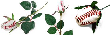 Baseball roses