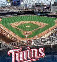 Twins ballpark and logo puzzle