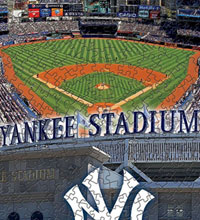 Yankees stadium and logo puzzle