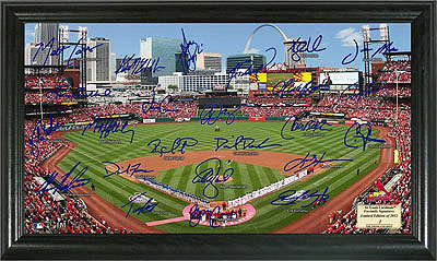 2011 Signature Fields