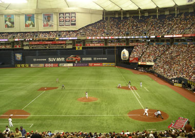 The Metrodome