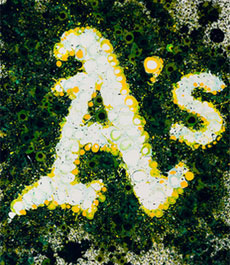 Abstract art print of Oakland A's logo
