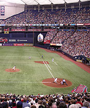 The Metrodome