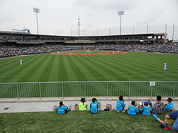 Berm seating at BB&T Ballpark