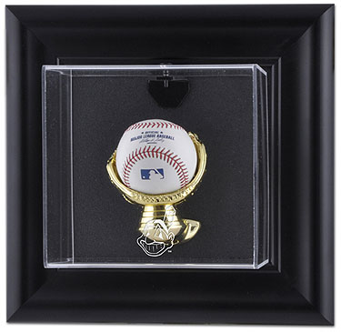 Indians single baseball wall mounted display case