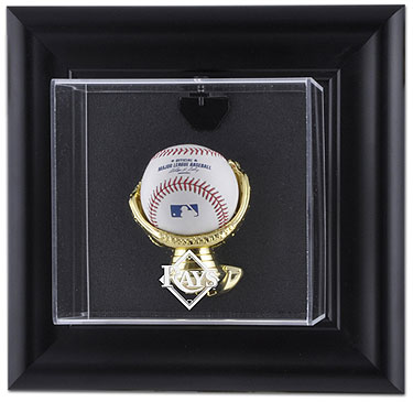 Rays single baseball wall mounted display case