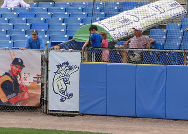 Mr. Celery gate at Frawley Stadium