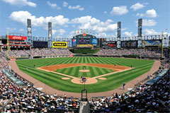 U.S. Cellular Field mural