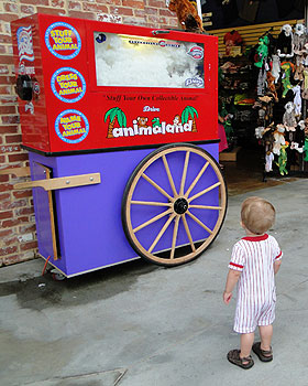 Walker staring at the animaland machine