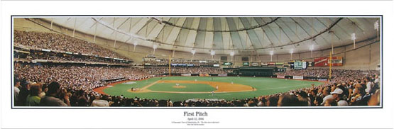 Tropicana Field panorama poster