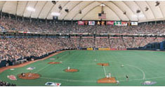 Metrodome panorama