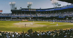 Tiger Stadium panorama