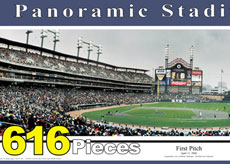 Comerica Park puzzle