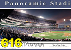 U.S. Cellular Field puzzle