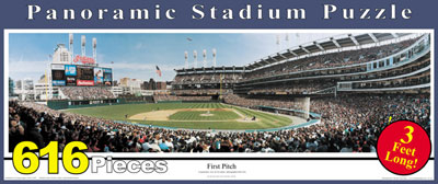 Jacobs Field puzzle