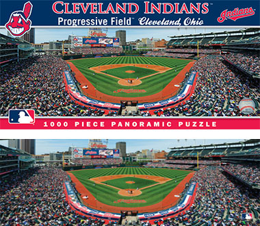 Progressive Field puzzle and box