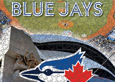 Rogers Centre puzzle