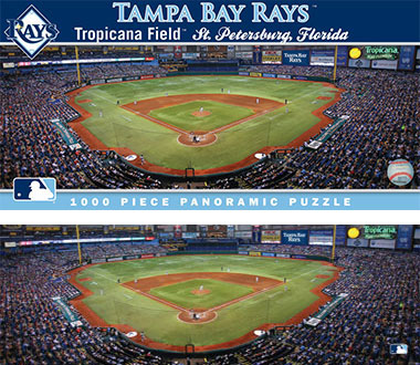 Tropicana Field puzzle and box