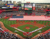 Atlanta Braves Signature Field