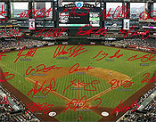 Arizona Diamondbacks Signature Field