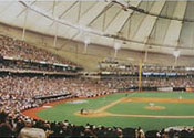 Panorama poster of first pitch at Tropicana Field
