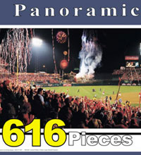 Angels ballpark puzzle