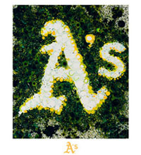 Oakland A's team logo fine art