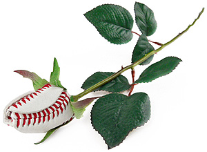 Baseball rose